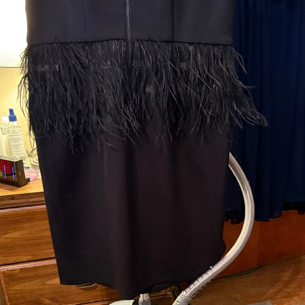 Eloquii Black Dress size 14 with Feather Trim. Like new. - Picture 4 of 5